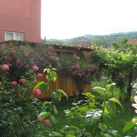 Casa Fabrizio Hotel Calimanesti Ngoại thất bức ảnh