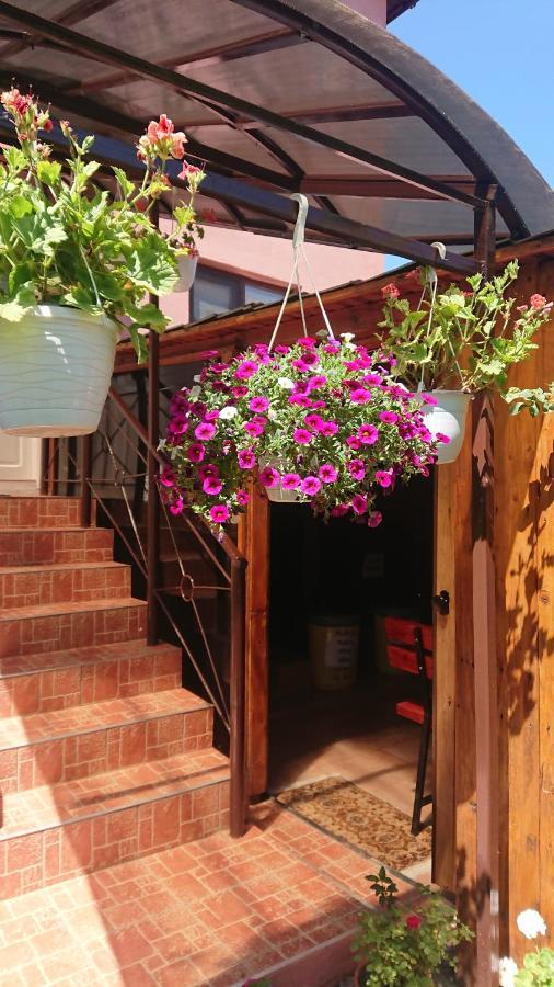 Casa Fabrizio Hotel Calimanesti Ngoại thất bức ảnh