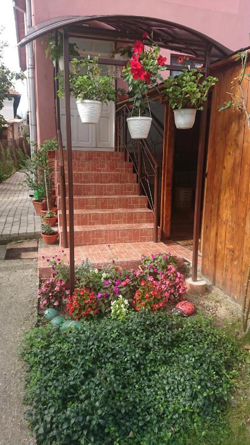 Casa Fabrizio Hotel Calimanesti Ngoại thất bức ảnh