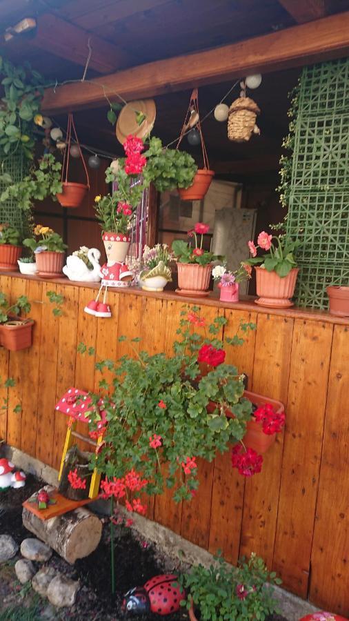 Casa Fabrizio Hotel Calimanesti Ngoại thất bức ảnh