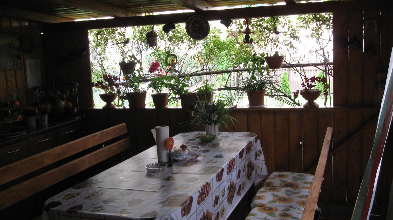 Casa Fabrizio Hotel Calimanesti Ngoại thất bức ảnh